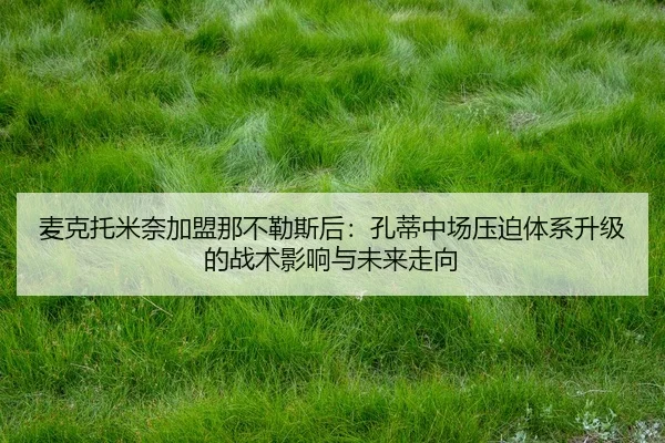 mai-ke-tuo-mi-nai-jia-meng-na-bu-le-si-hou-kong-di-zhong-chang-ya-po-ti-xi-sheng-ji-de-zhan-shu-ying-xiang-yu-wei-lai-2-990.jpg