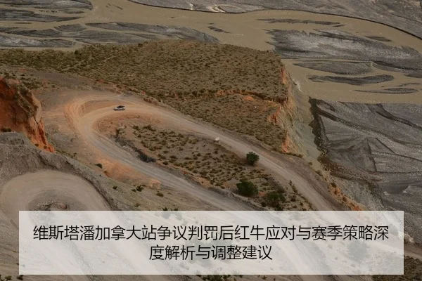维斯塔潘加拿大站争议判罚后红牛应对与赛季策略深度解析与调整建议