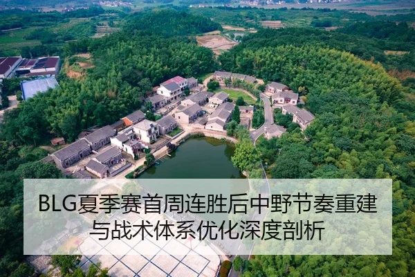 BLG夏季赛首周连胜后中野节奏重建与战术体系优化深度剖析
